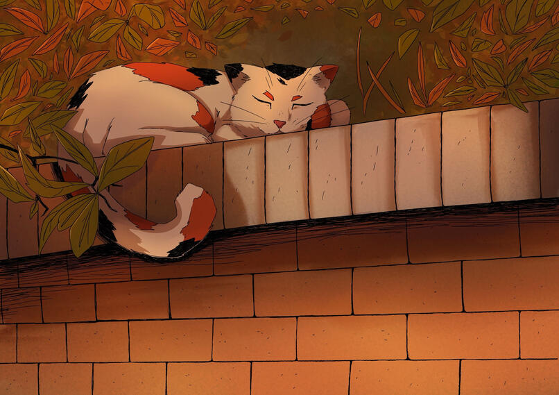 Sleeping Cat